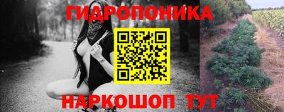 ГАЛЛЮЦИНОГЕННЫЕ ГРИБЫ Тулун