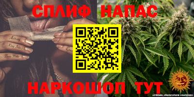 jwh Туймазы