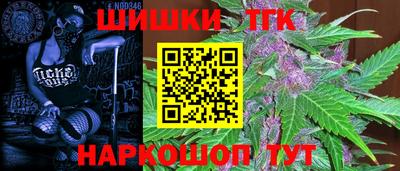 СК Тара